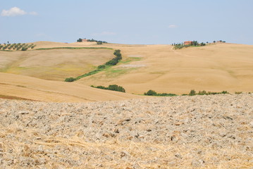 Fototapeta na wymiar Crete Senesi - Tuscan landscape
