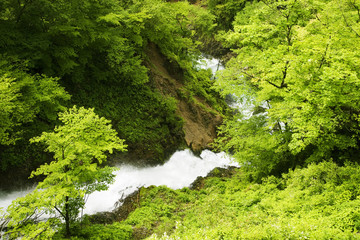 新緑と涅槃の滝