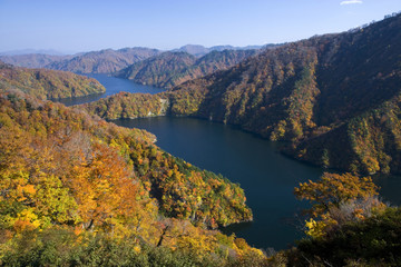 田子倉湖の紅葉