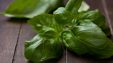 Fresh basil on rustic wooden background