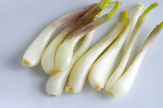 80 最適な 島ラッキョウ 画像 ストック写真 ベクター Adobe Stock