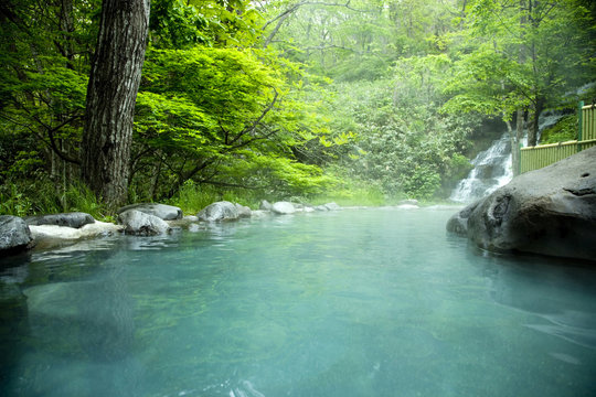 新緑の露天風呂 © paylessimages