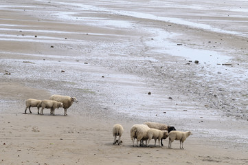 Wo ist das Meer hin