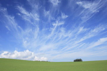 Obraz premium 草原と雲