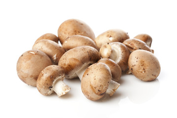 A fresh brown mushroom