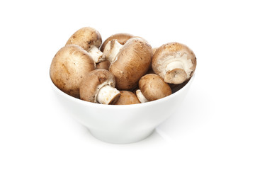 A fresh brown mushroom