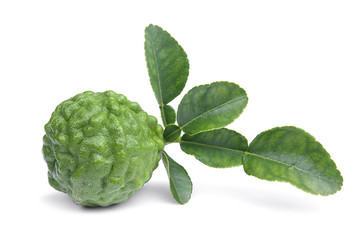 kaffir lime