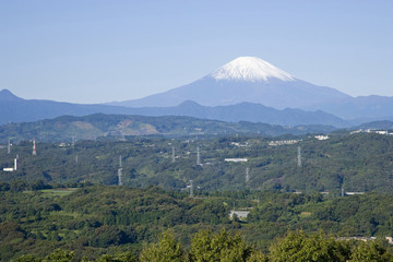 湘南平から望む富士