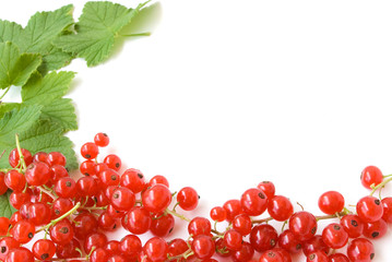 redcurrant