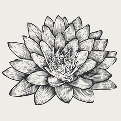floral design element, engraved retro style