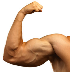 strong biceps - obrazy, fototapety, plakaty