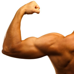 strong biceps - obrazy, fototapety, plakaty