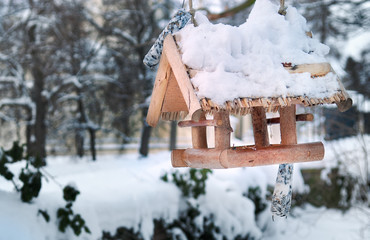 Frost covered bird feeder