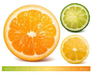 Vector citrus fruits: orange, lime and lemon.