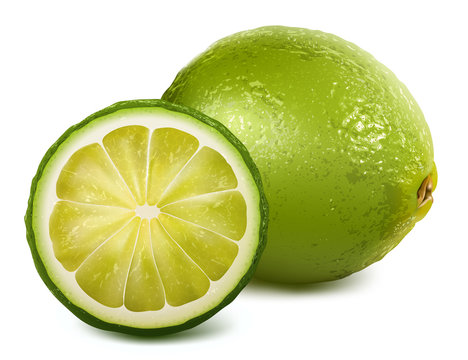 Vector fresh lime
