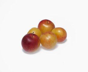 plum
