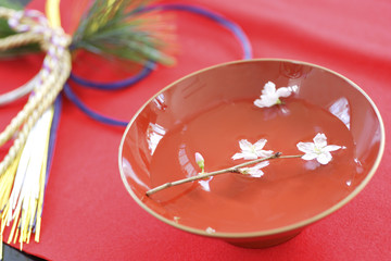 初春の早咲き桜