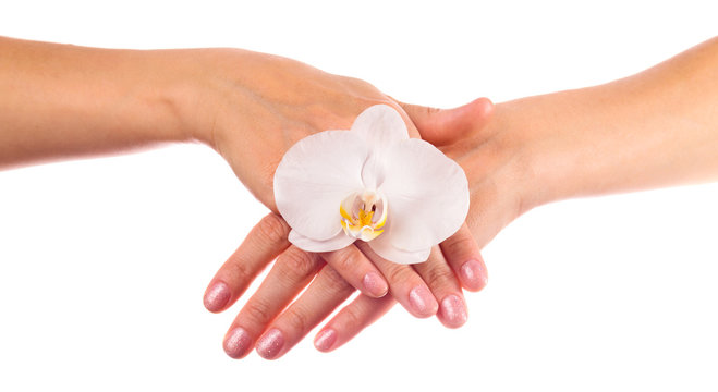 hands with orchid