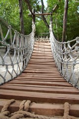 Fototapety  Przygoda drewniany most wiszący w dżungli Adventure