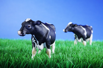 K&uuml;he Miniatur auf der Weide