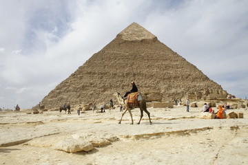 Piramide e cammello