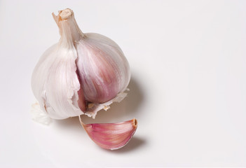 Garlic