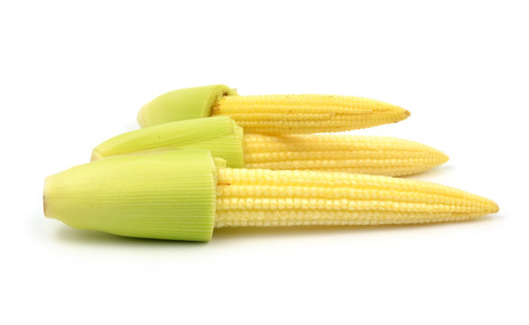 Baby Corn Isolated