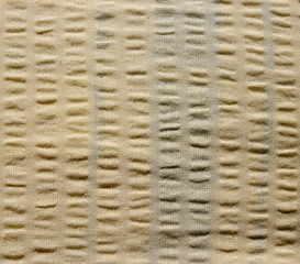 Fabric texture