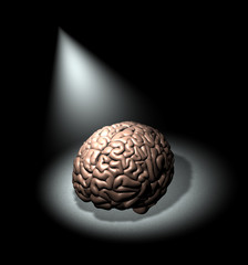 Spotlight on education