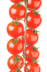cherry tomatoes isolated on a white background