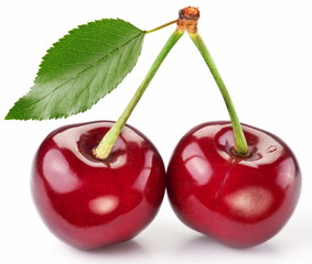 Two perfect sweet cherries with the leaf.