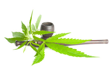 Cannabis sativa. Marijuana leaf and smoking pipe