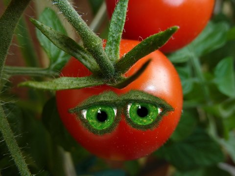 Tomatengesicht - Unikat