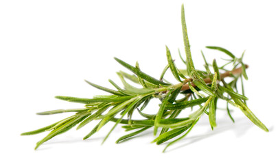 Rosemary