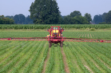 Irrigation with tractor on a wheat field