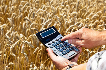 Bauer mit Taschenrechner auf Getreidefeld