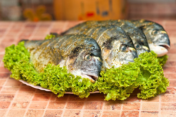 Whole griled dorada fish