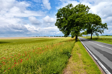 Strass nach Rügen