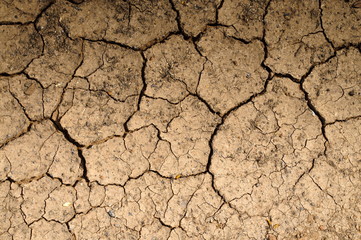 Dry soil on the ground