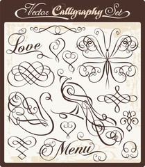 Vector Calligraphy Set