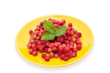 strawberry