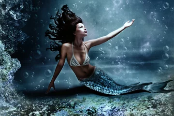 Printed kitchen splashbacks Mermaid mermaid