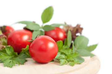 tomatoes and green parsley