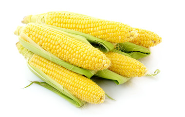 Corn isolated on white