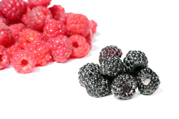 Black and red raspberries