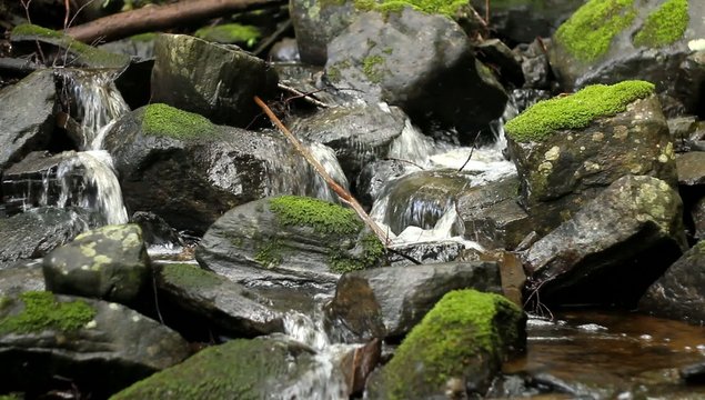 Bubbling Brook