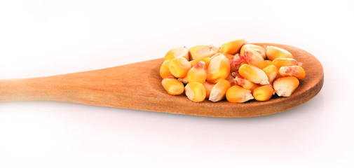 corn in spoon  isolated on white