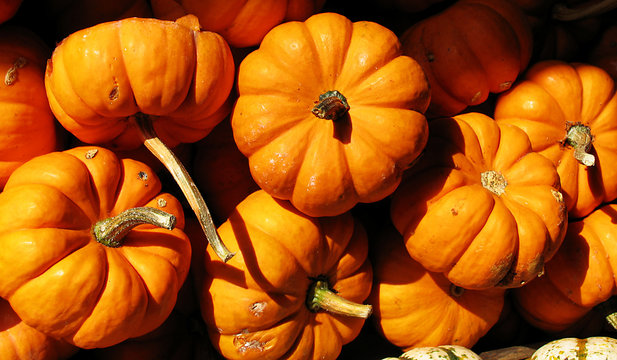 Mini-pumpkins At The Farmer's Market.