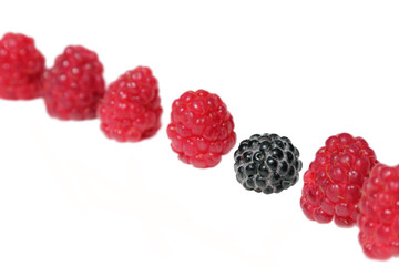 concept, a symbol of singularity, uncommonness