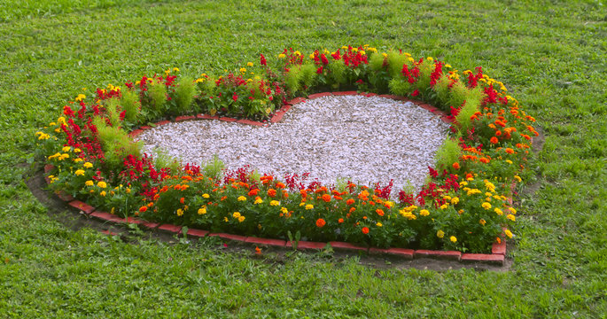 Heart of flowers